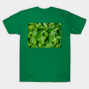 Basil T-Shirt